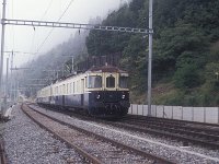 BLS